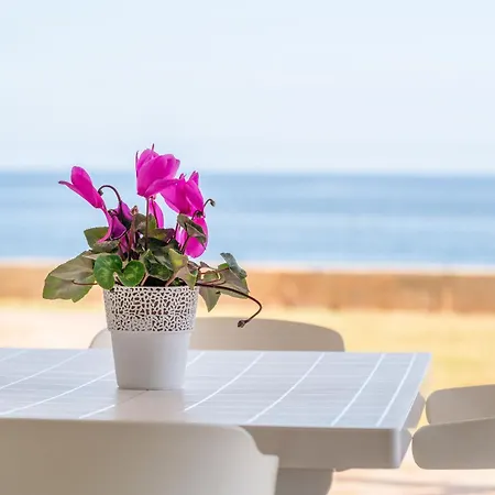 Dofi By Mallorca House Rent